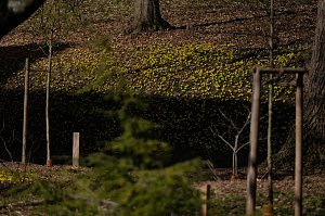 Peter Blei unterwegs im Park Hohenrode