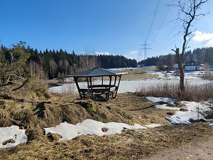 Peter Blei unterwegs im Birkenmoor