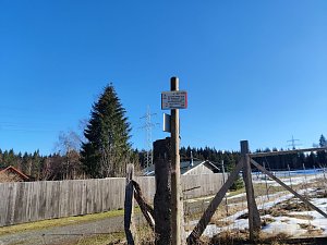 Peter Blei unterwegs im Birkenmoor