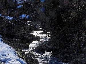 Peter Blei unterwegs im Birkenmoor