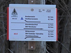 Peter Blei unterwegs im Birkenmoor