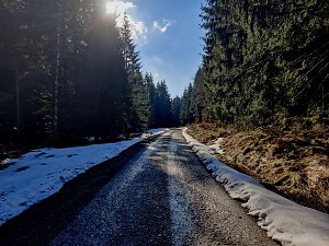 Peter Blei unterwegs im Birkenmoor