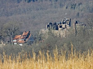 Peter Blei unterwegs am zugefrorenen Rostenteich