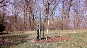 Pflanzaktion im Park Hohenrode durch die Gartenbaufirma August aus Ellrich.                                                                    