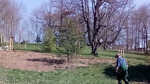 Pflanzaktion im Park Hohenrode durch die Gartenbaufirma August aus Ellrich.                                                                    
