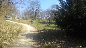Pflanzaktion im Park Hohenrode durch die Gartenbaufirma August aus Ellrich.                                                                    