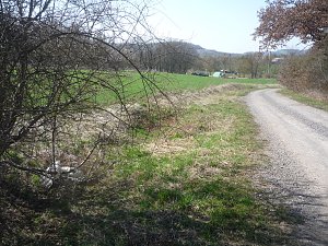 Radwanderung in Nordhausen Umgebung