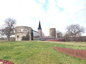 Auf dem Petersberg