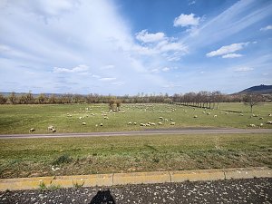 Peter Blei unterwegs am Stausee Kelbra