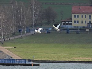 Peter Blei unterwegs am Stausee Kelbra