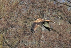 Peter Blei unterwegs am Stausee Kelbra