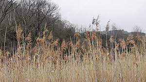 Unterwegs an der Numburg