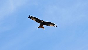 Ausflug in die Windl&uuml;cke
