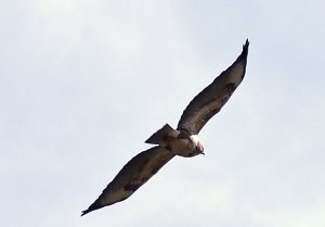 Ausflug in die Windl&uuml;cke