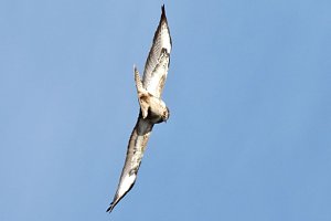 Ausflug in die Windl&uuml;cke