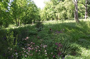 Erholsam und entspannend ist zu jeder Jahreszeit ein Besuch im Park Hohenrode.