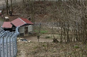 Besuch im Affenpark Strau&szlig;berg