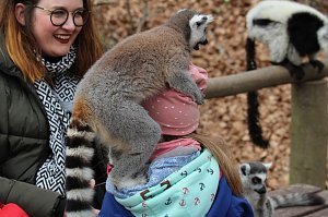 Besuch im Affenpark Strau&szlig;berg