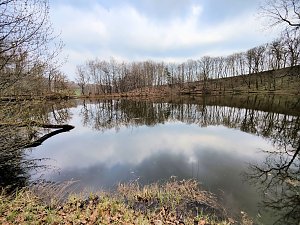Peter Blei unterwegs in Steinsee