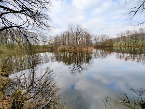 Peter Blei unterwegs in Steinsee