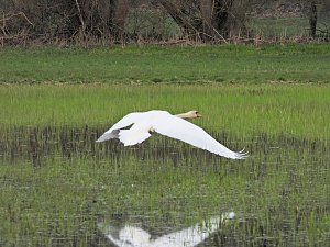 Peter Blei unterwegs in Steinsee