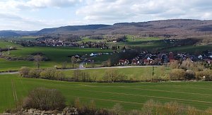 Neustadt und seine Holzlok