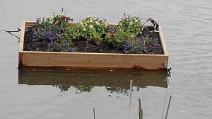 Schwimmende G&auml;rten 