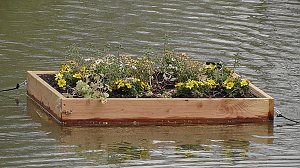 Schwimmende G&auml;rten 