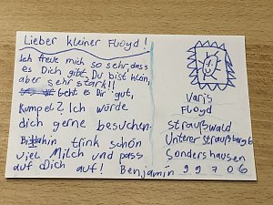 Eine ganze Reiher wundersch&ouml;ner Karten kam gestern im Affenwald an
