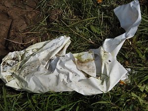 Borbachtungen zur Biodiversit&auml;t