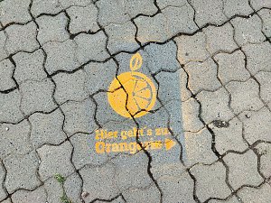 Impresionen aus Bendeleben