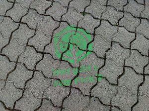 Impr4esionen aus Bendeleben