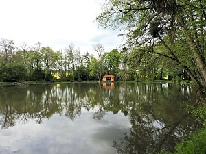 Impr4esionen aus Bendeleben