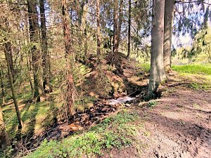 Peter Blei unterwegs bei Benneckenstein