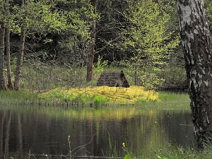 Peter Blei unterwegs bei Benneckenstein