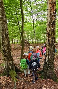 F&uuml;r die Kleinen der Kinderwelt am Frauenberg geht es endlich wieder in den Wald