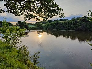 Abendstimmung am Rosenteich