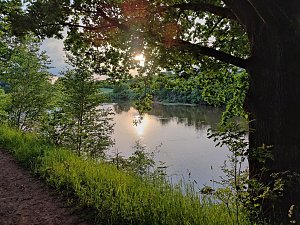 Abendstimmung am Rosenteich