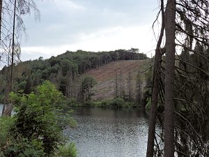 An der Neust&auml;dter Staumauer 