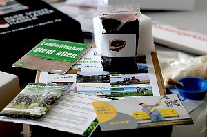 Welcher Beruf passt zu mir?