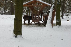 Park-Impressionen