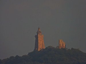 Kraniche am Stausee Kelbra