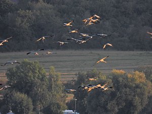 Peter Blei unterwegs am Stausee Kelbra