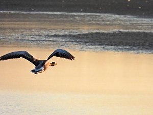 Peter Blei unterwegs am Stausee Kelbra