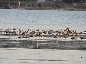 Peter Blei unterwegs am Stausee Kelbra