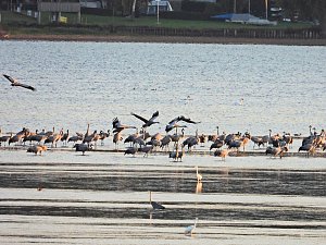 Peter Blei unterwegs am Stausee Kelbra