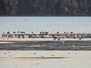 Peter Blei unterwegs am Stausee Kelbra