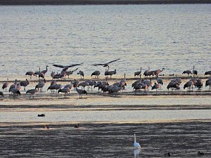 Peter Blei unterwegs am Stausee Kelbra