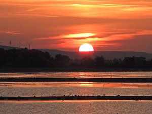 Peter Blei unterwegs am Stausee Kelbra