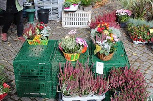 Herbstmarkt in Nordhausen 